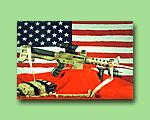 AR-15