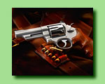 S&W Revolver