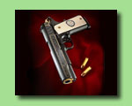 Custom DLSports™ 1911 for ELP