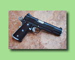 1911 pro model