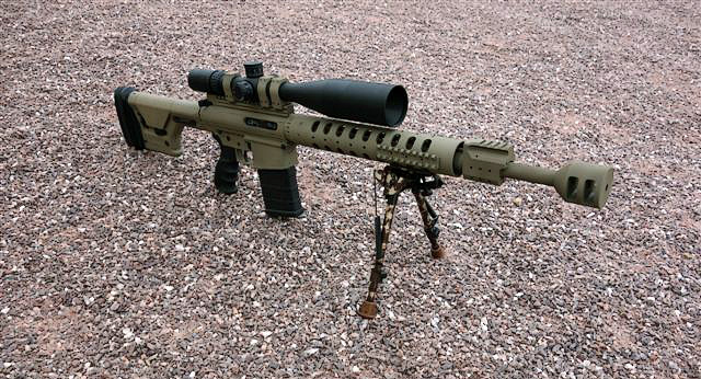 Custom AR 308