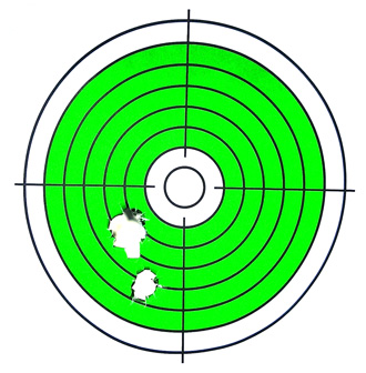 D&L Custom SLR/Carbine target results