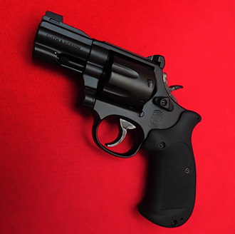 Custom S&W Revolver Grip