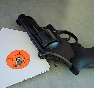 S&W Revolver