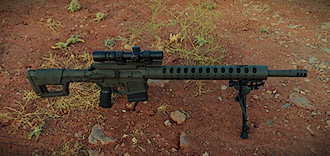 D&L Custom SLR Carbine