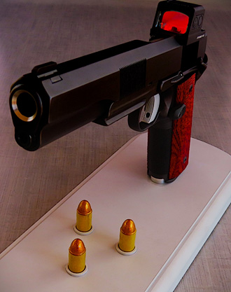 SS Professional 1911