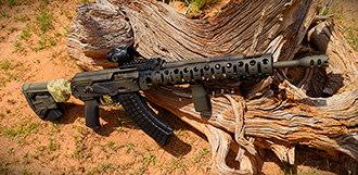 D&L Sports Custom SLR/Carbin