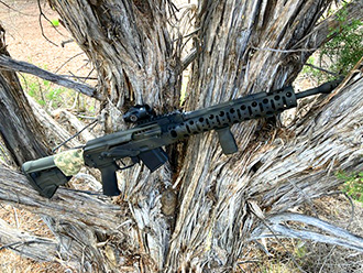 D&L Sports Custom SLR/Carbine